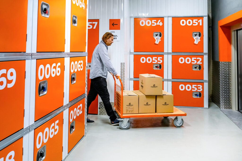 Lagerloewe Selfstorage Magdeburg- Lagerbox